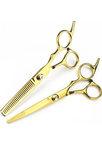 Mor Inceltme Tarzı Profesyonel Jteel 6 '' 5 Renk Saç Kesme Ors Saç Kesimi Tg Berber Saç Kesme Makası Kuaför Ors (Yurt Dışından) fiyatları