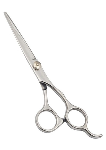 Bej Tarzı Fnlune Professional 6.0 Inç Kuaförlük Veya Kuaförlük Veya Gözyaşı Düz ​​makaslar Kuaför Salonu Kuaför (Yurt Dışından)