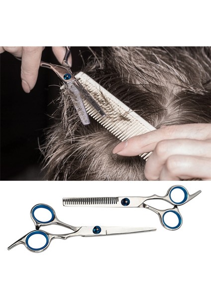 Inceltme Tarzı Kuaförlük Veya 6 Inç Saç Veya Profesyonel Kuaför Veya Saç Kesme Tg Şekillendirme Aracı Kuaförlük Makas (Yurt Dışından) modelleri