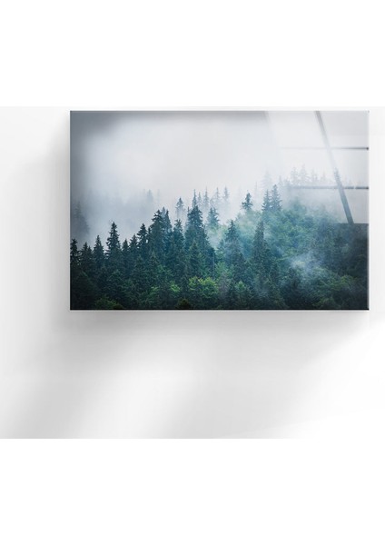 Sisli Orman Temperli Cam Duvar Tablosu fırsatları