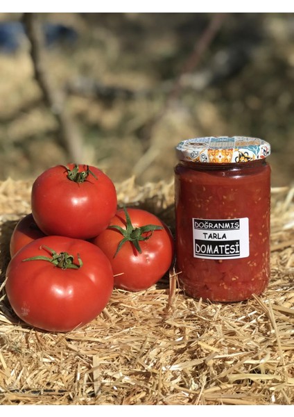 Doğranmış Tarla Domatesi Cam Kavanoz 660 Cc (GÜBRESİZ, İLAÇSIZ, HORMONSUZ, TUZ İÇERMEYEN) fiyatları