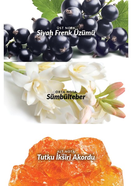 Attraction Awaken Kadın Parfüm EDP 10 ml modelleri
