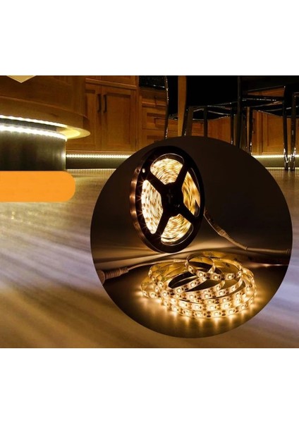 CT-4488 Şerit LED Dış Mekan Günışığı IP44 10 Çip 5 Metre