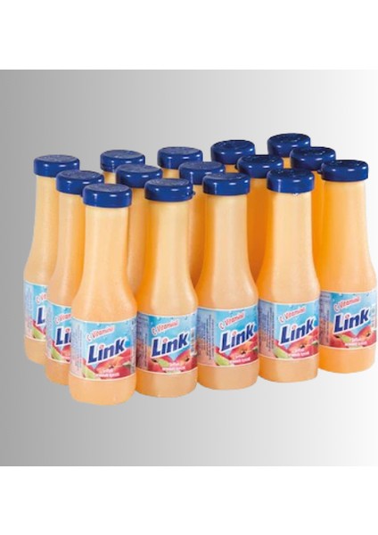 Link Şeftali 250 ml x 15’li