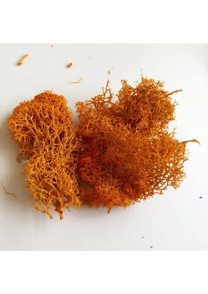 Turuncu Tarzı 30G 7colors Liken Yosun Kümesi Çalılar Için Model Ağaçlar Yeşillik Ölçekli Model Yapı Malzemesi Minyatür Demiryolu Düzeni Diorama 30G (Yurt Dışından)