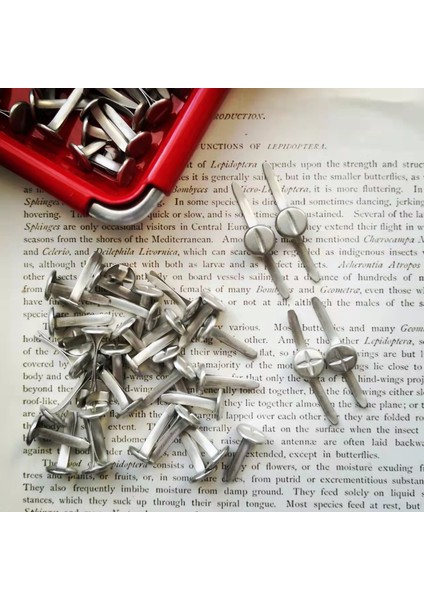 Ben Stil Fotoğraf Olarak 50PICS Çapraz Sütyenler + - Sembol Sütyenler Diy Bezeme Dekorasyon Scrapbooking Önemsiz Günlük El Yapımı Fotoğraf Albümü Çerçeve Dekorasyonu (Yurt Dışından)