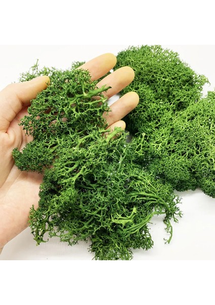 Açık Yeşil 30G Stili Çalılar Için 30G Liken Yosun Kümesi, Model Ağaçları Yeşillik Ölçekli Model Yapı Malzemesi Minyatür Ağaç Modeli Demiryolu Düzeni Diorama (Yurt Dışından)