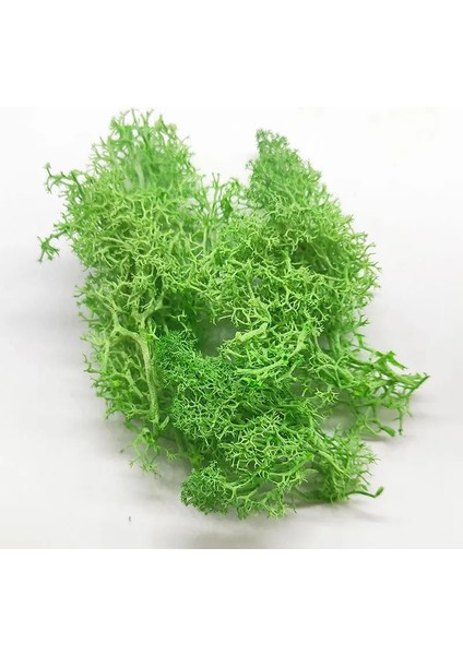 Zümrüt Tarzı 30G 7colors Liken Yosun Kümesi Çalılar Için Model Ağaçlar Yeşillik Ölçekli Model Yapı Malzemesi Minyatür Demiryolu Düzeni Diorama 30G (Yurt Dışından)