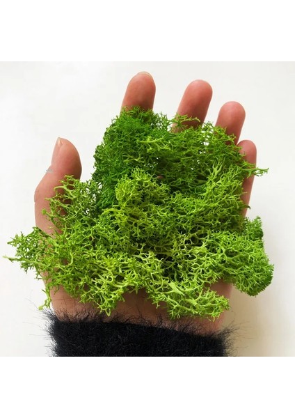 Zümrüt Tarzı 30G 7colors Liken Yosun Kümesi Çalılar Için Model Ağaçlar Yeşillik Ölçekli Model Yapı Malzemesi Minyatür Demiryolu Düzeni Diorama 30G (Yurt Dışından)