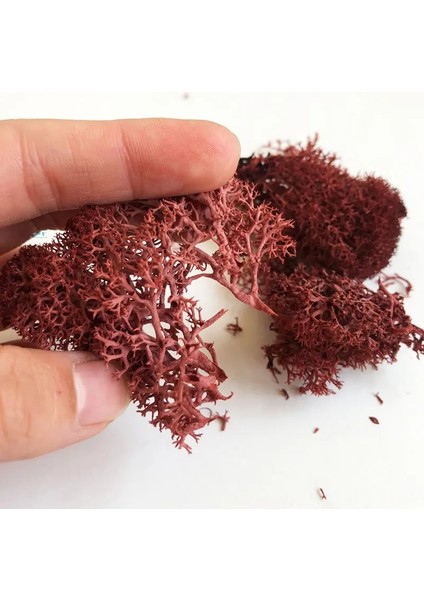 Zümrüt Tarzı 30G 7colors Liken Yosun Kümesi Çalılar Için Model Ağaçlar Yeşillik Ölçekli Model Yapı Malzemesi Minyatür Demiryolu Düzeni Diorama 30G (Yurt Dışından)