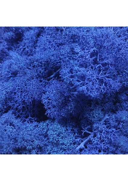 Zümrüt Tarzı 30G 7colors Liken Yosun Kümesi Çalılar Için Model Ağaçlar Yeşillik Ölçekli Model Yapı Malzemesi Minyatür Demiryolu Düzeni Diorama 30G (Yurt Dışından)