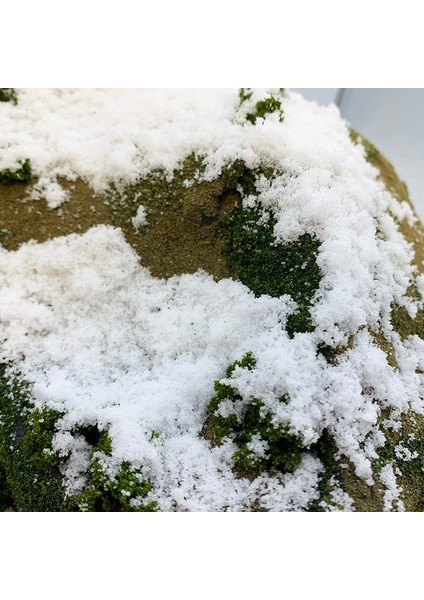 30G Tarzı Diorama Bahçe Yapımı Için 30G Model Kar Malzeme Demiryolu Düzeni Trendemiryolu Düzeni Diorama Malzemesi Toz Hamuru (Yurt Dışından) fiyatları