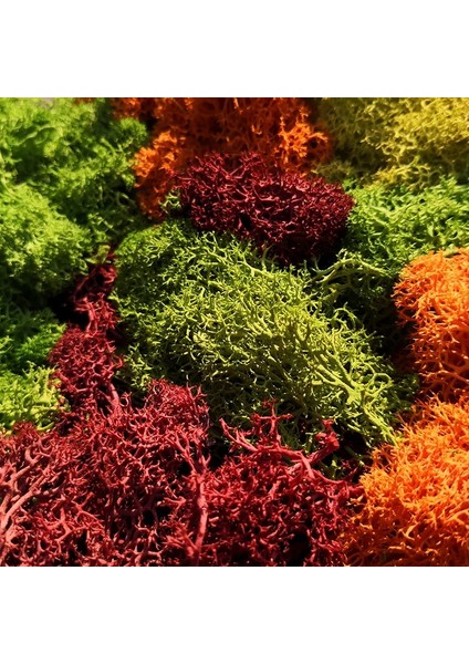Kahverengi Tarzı Çalılar Için 30G Liken Yosun Kümesi, Model Ağaçlar Yeşillik Ölçekli Model Yapı Malzemesi Minyatür Ağaç Modeli Dıy Düzeni Dioramalar (Yurt Dışından)