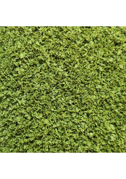 Beyaz Stil 30G Yeşillik Malzeme Ölçekli Model Ağaç Hafif Uzun Yapraklı Ağaç Tozu Arazi Tozu Kum Masa Malzemesi Diy Sedir Dioramaları (Yurt Dışından) fırsatları