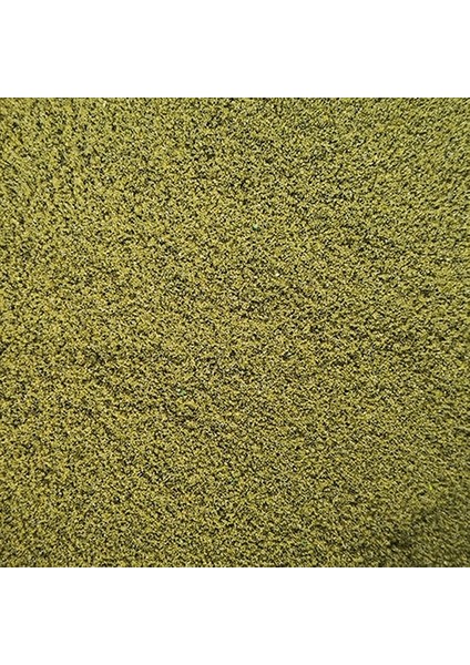 Ordu Yeşili Tarzı 50G Örnek Ince Çim (Zemin Köpüğü) Ince Sünger Malzeme Ölçekli Model Tren Demiryolu Düzeni Toz Model Tren Binası Diy (Yurt Dışından)