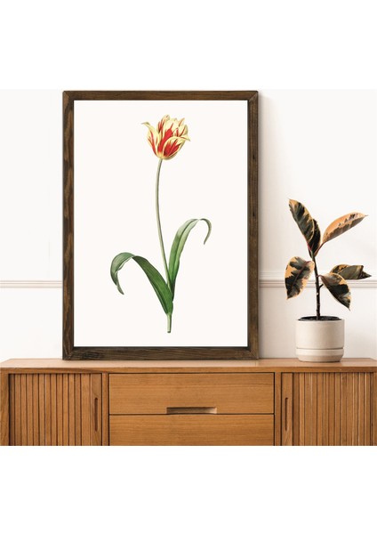 Masif Çerçeveli Gül Resmi Baskılı Tablo