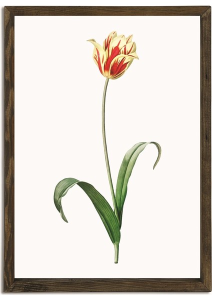 Masif Çerçeveli Gül Resmi Baskılı Tablo fiyatları