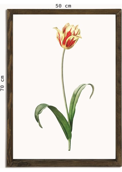 Masif Çerçeveli Gül Resmi Baskılı Tablo modelleri