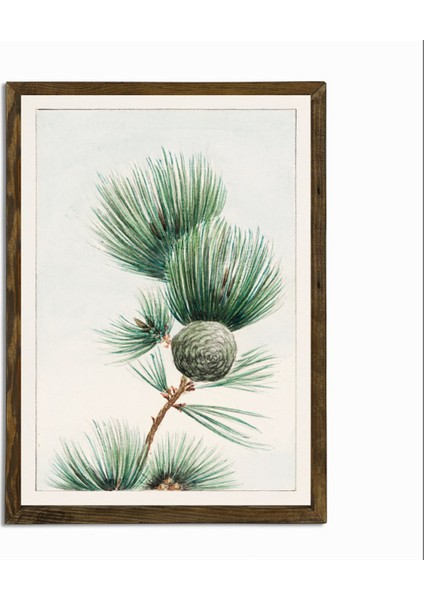 Masif Çerçeveli Çiçek Resmi Baskılı Tablo 9 fiyatları