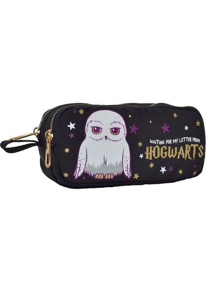 Harry Potter Hogwarts Hedwig Kalem Kutusu 2103