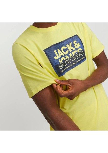 12253442 Jcologan Tee Ss Crew Neck SS24 Ln Sarı modelleri