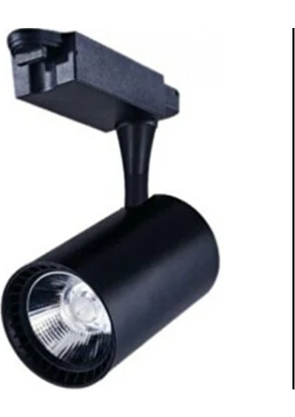 30 Watt Ray Spot Siyah Kasa Günışığı