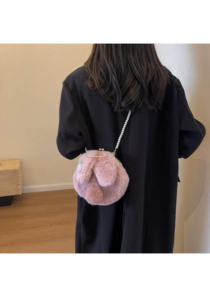 Sonbahar ve Kış Niş Peluş Çanta Kadın 2024 Yeni Inci Zincir Crossbody Çanta Çanta Bebek (Yurt Dışından) fırsatları
