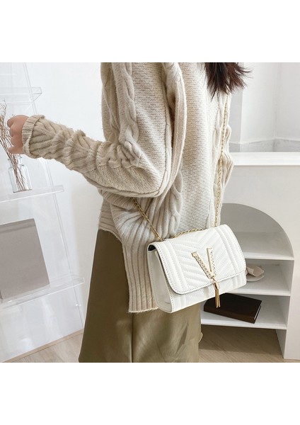 2024 Yeni Moda Çizgili Nakış Zincir Çanta Elmas Donanım Püskül Tasarım Omuz Crossbody Çanta (Yurt Dışından) modelleri