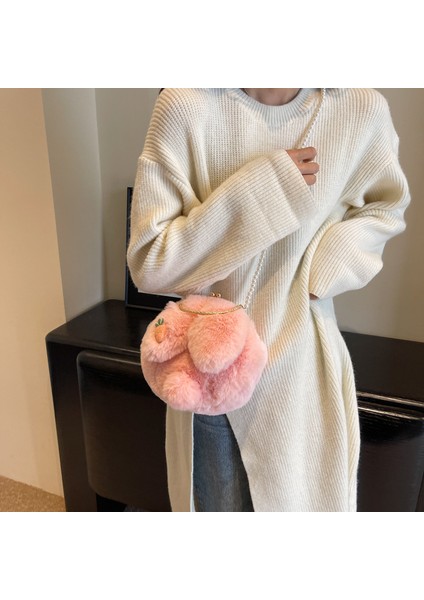 Sonbahar ve Kış Niş Peluş Çanta Kadın 2024 Yeni Inci Zincir Crossbody Çanta Çanta Bebek (Yurt Dışından) modelleri