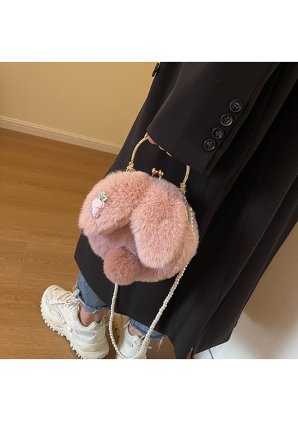 Sonbahar ve Kış Niş Peluş Çanta Kadın 2024 Yeni Inci Zincir Crossbody Çanta Çanta Bebek (Yurt Dışından) indirimleri