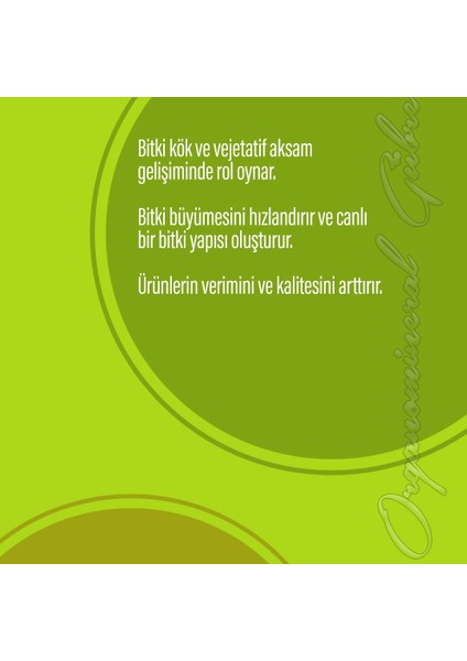 Belliss Mix Npklı Sıvı Organomineral Gübre 1 Litre