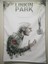 Linkin Park Desenli Tasarım Duvar Halısı 1