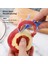 No.1 Tarzı Fruit Apple Peeler Slicer Cutter Bar Hand Held Pear Peeler Ring Portable Orange Opener 2-In-1 Kitchen Accessories Gadgets (Yurt Dışından) 5