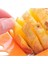 Patates Kesme Cihazı Kesim Kızartması Kiti Patates Kızartması Iplik Kesici Seti Patates Havuç Sebze Dilimleme Kıyıcı Cips Yapma Aracı (Yurt Dışından) 3