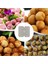 1 Adet Tarzı Beyaz Yenı 9 Delik Yıllık Içli Köfte Ekspres Köfte Makinesi Köfte Kalıp Basın Kıyma Et Işlemcisi Kek Tatlıları Pasta Mutfak Gereçleri (Yurt Dışından) 5