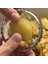 Mutfak Patates Kesici Paslanmaz Çelik Manuel Sebze Dilimleme Kızartması Patates Kızartması Yumurta Kesici Iyi Yardımcı Patates Kesme Cihazı (Yurt Dışından) 4