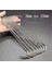 10 Adet 3mm 10CM Tarzı S Keskin Paslanmaz Çelik Sığır Kancası Kızartma Et Squab Tavuk Kanadı Mutfak Kancaları Barbekü Pastırma Domuz Pastırması Kızartma Ördek Kancası Türkiye Kancası (Yurt Dışından) 3