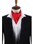 Kırmızı Düz Ascot Fular K573 1