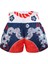 Muay Thai Boxing Shorts The Samurai 3