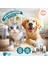 Pet Love Kediler Için Tüy Bakım Yağı 5x1 ml 100% Doğal Argan Yağlı 4