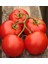 Çiftlik Domatesi Tohumu Geleneksel Tip Delicious Tomato Seeds Heirloom 2