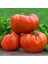 Çiftlik Domatesi Tohumu Geleneksel Tip Delicious Tomato Seeds Heirloom 4