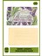 Romantica Wild Tuscan Lavender & Verbena Katı Sabun 250gr | Nemlendirici | Lavanta Ve Mineçiçeği 1