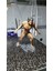 Attack On Titan Eren Boyalı Figür 15CM 1