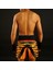 Muay Thai Boxing Shorts Orange Roaring Tiger 5