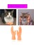 Mini Komik Karikatür Parmak Eller ve Parmak Ayak Seti Yaratıcı Parmak Oyuncakları Küçük El Modeli Cadılar Bayramı Hediye Oyuncaklar Etrafında Oyuncaklar (Yurt Dışından) 3