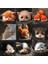 Kedi B Stili Yün Keçe Poke El Yapımı Dıy Malzeme Kiti Yün Iğne Bitmemiş Kedi Tilki Rakun Hayvan Broş Peluş Bebek Kadın Çanta Kolye (Yurt Dışından) 2