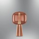  Renk Rose Gold