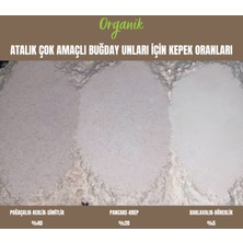 Organik Atalık Çok Amaçlı Un - Pancake-Krep - 500 Gram