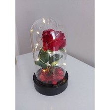 Cennet Home Fanusta LED Işıklı Kırmızı Gül Hediyelik Yapay Çiçek Özel Günler Için 3 Fonksiyonlu